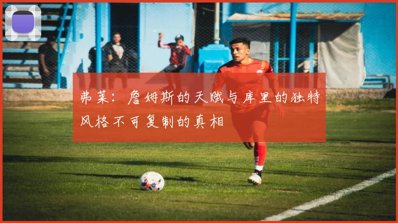 弗莱：詹姆斯的天赋与库里的独特风格不可复制的真相